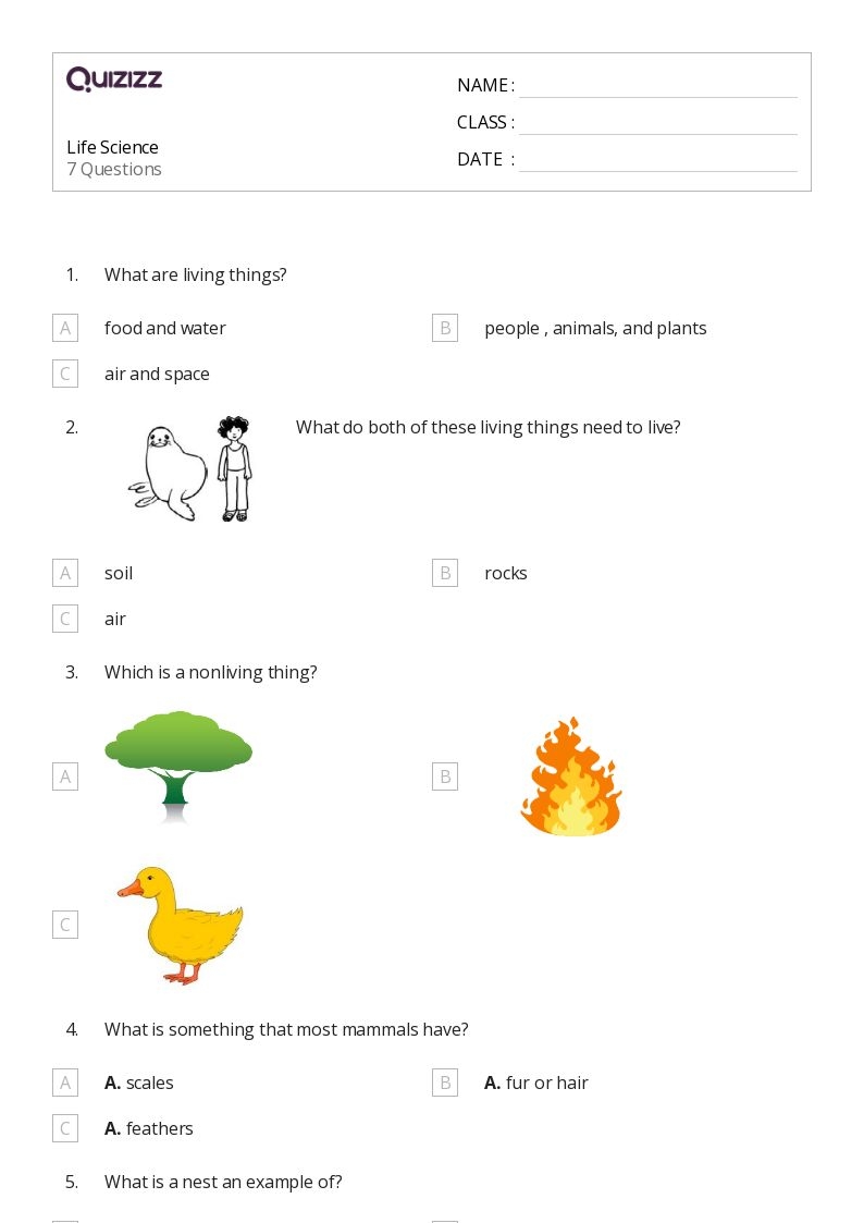 1st Grade Worksheets Free Printable Science
