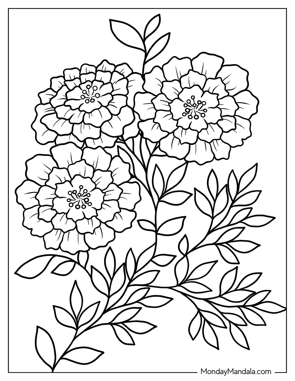 Floral Coloring Pages Free Printable
