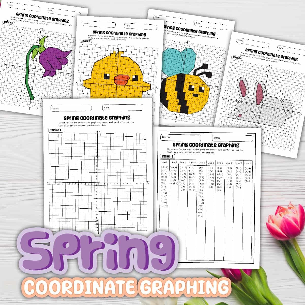 8 Free PDF Coordinate Graphing Worksheets spring Pictures 