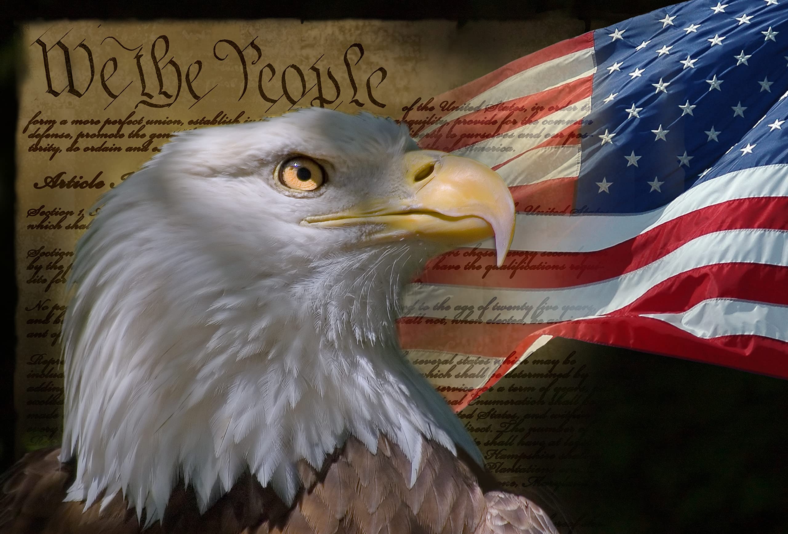 Amazon 1000 Piece Jigsaw Puzzle USA Vintage American Flag 