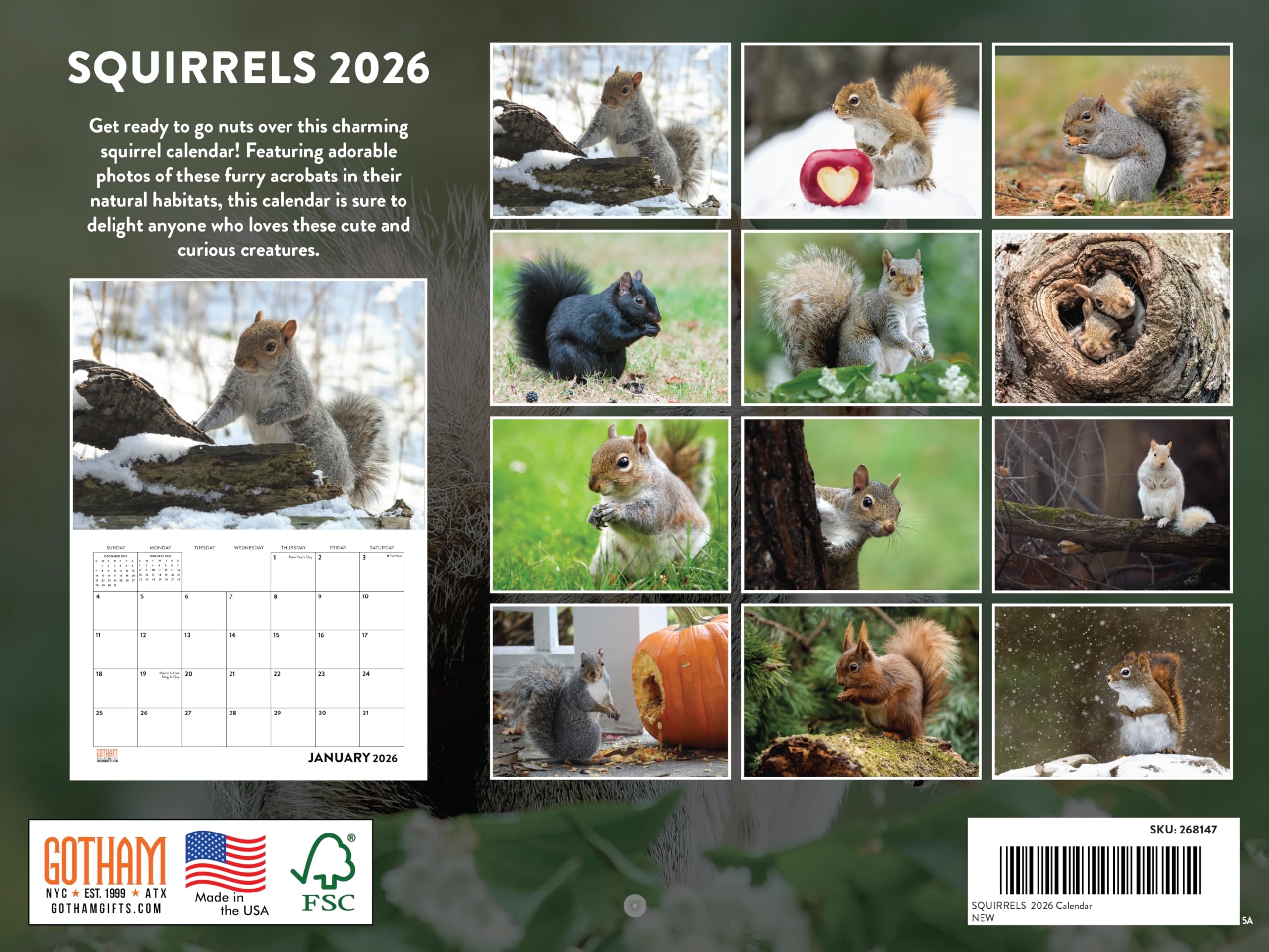 Amazon Squirrel Calendar 2026 Monthly Wall Calender 12 Month 