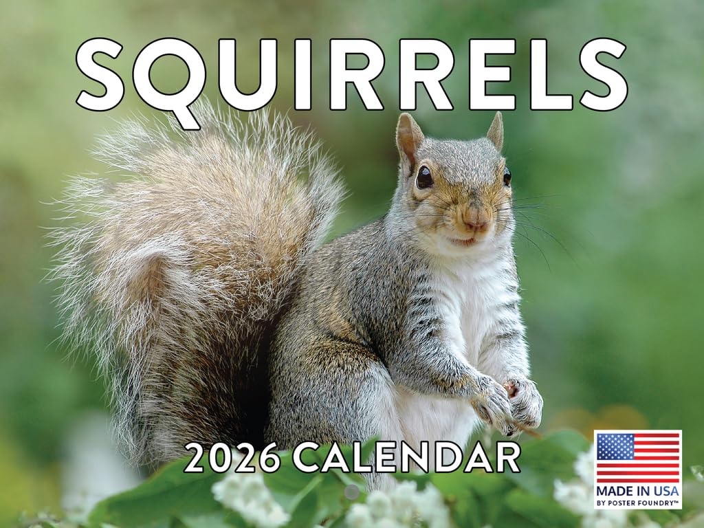 Amazon Squirrel Calendar 2026 Monthly Wall Calender 12 Month 