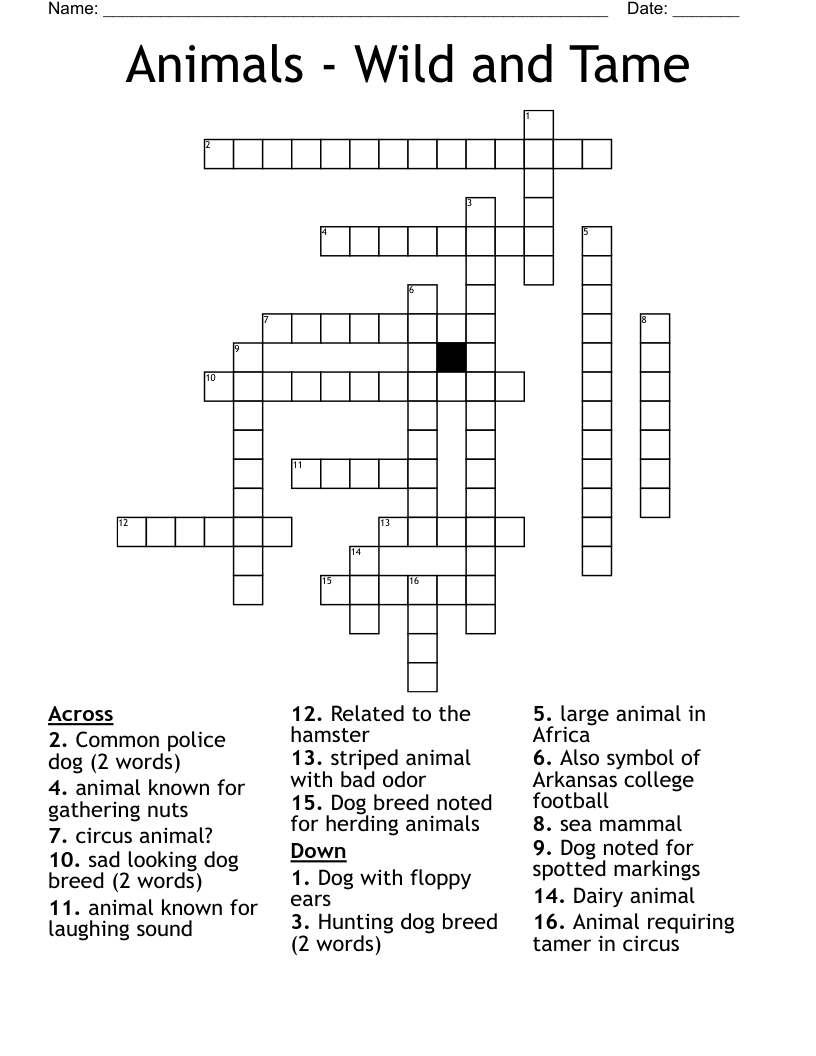 Crossword Solver Hunting Dog