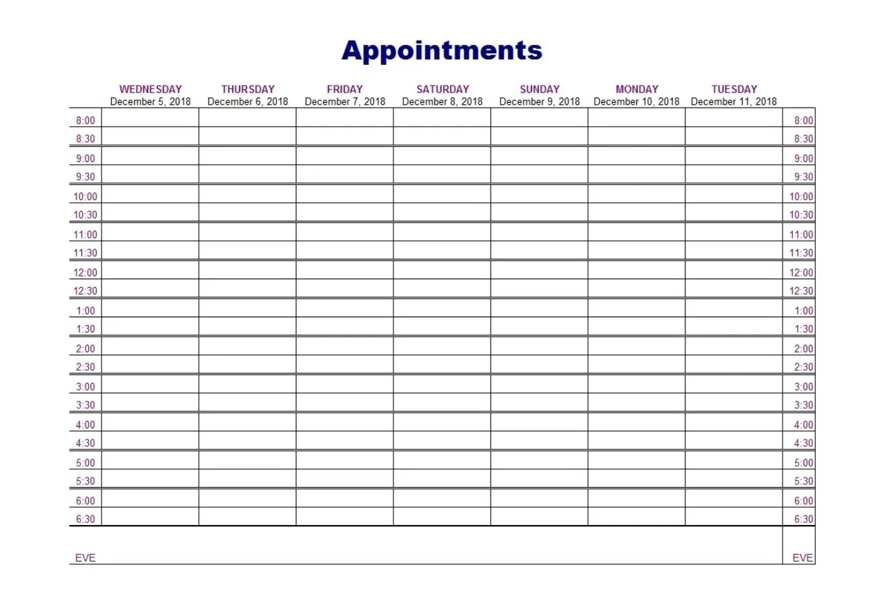 Appointment Schedule 51 Free Templates amp Guidelines Blue Layouts