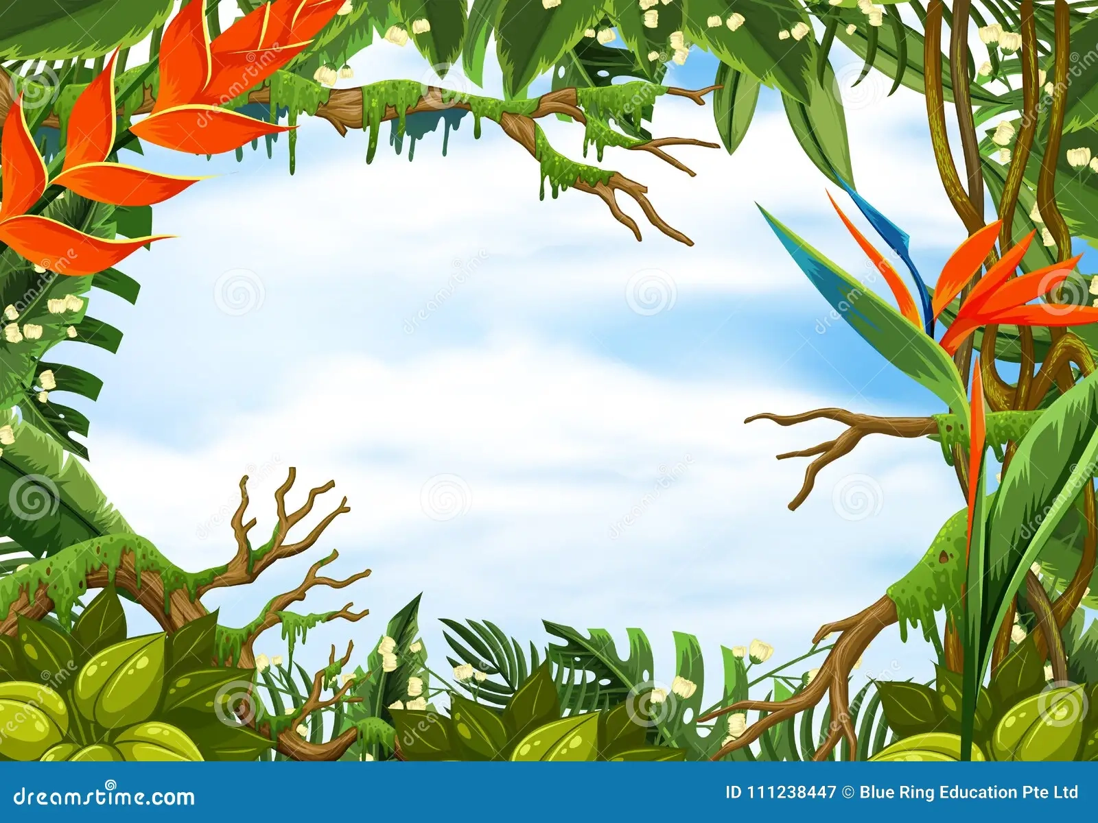 Border Template With Tropical Rainforest Stock Vector 