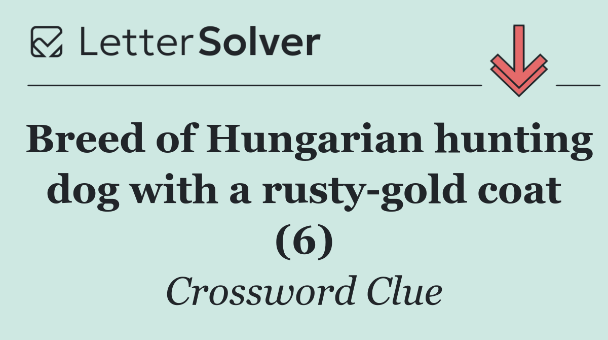 Breed Of Hungarian Hunting Dog With A Rusty Gold Coat 6 