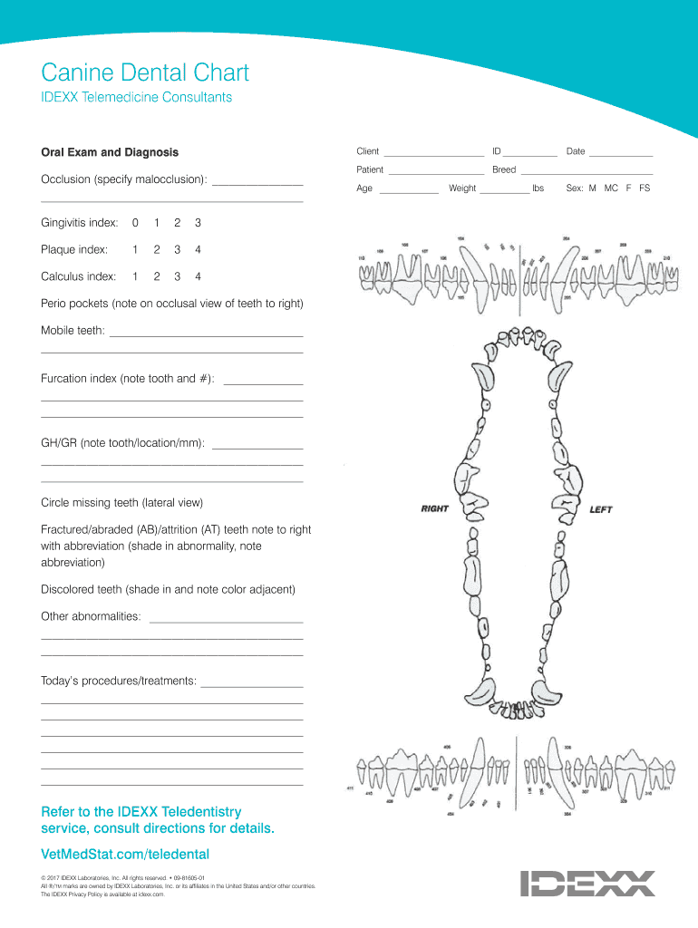 Canine Dental Chart Pdf Fill Online Printable Fillable Blank 