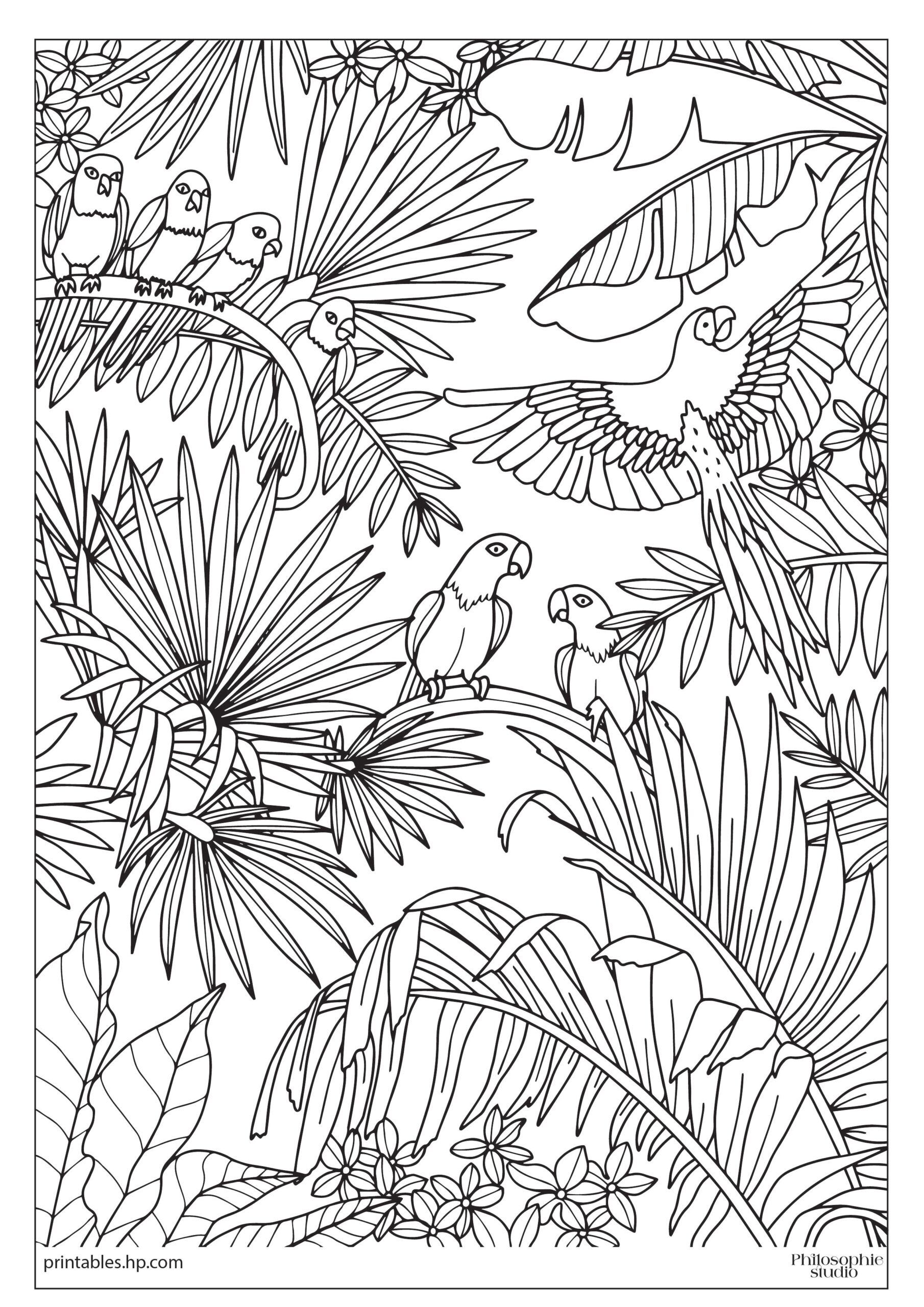 Colouring For Kids Tropical Jungle Printables Free Coloring 