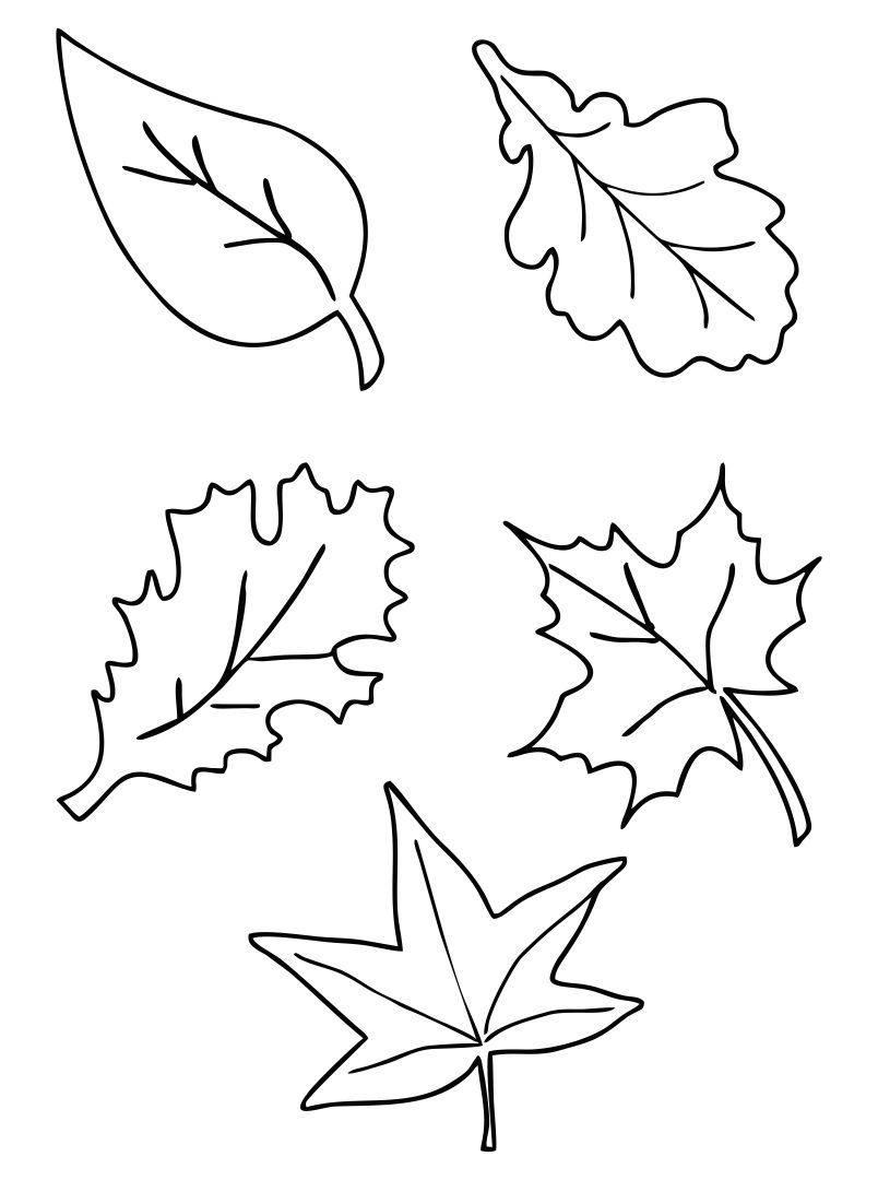 Printable Autumn Leaves Template