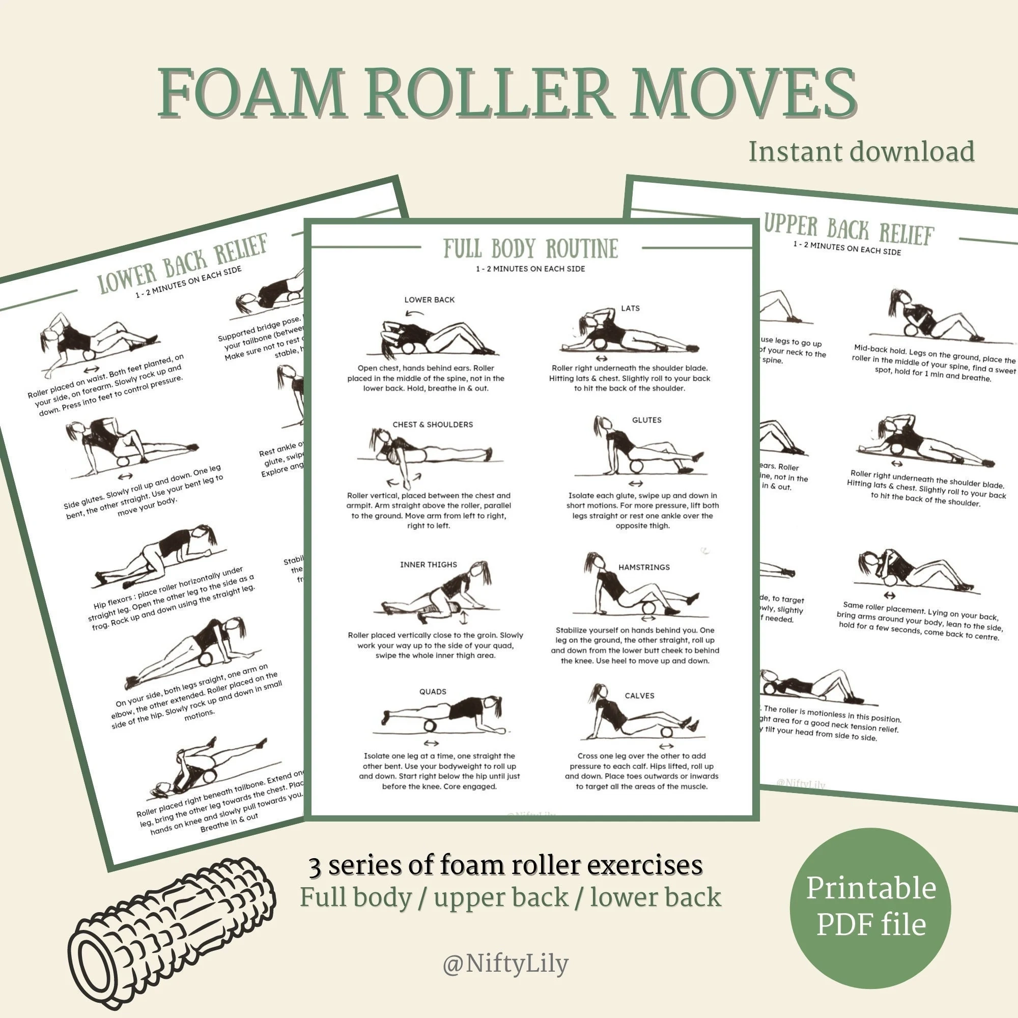 Foam Roller Exercises Muscle Pain Relief Stretches PDF 