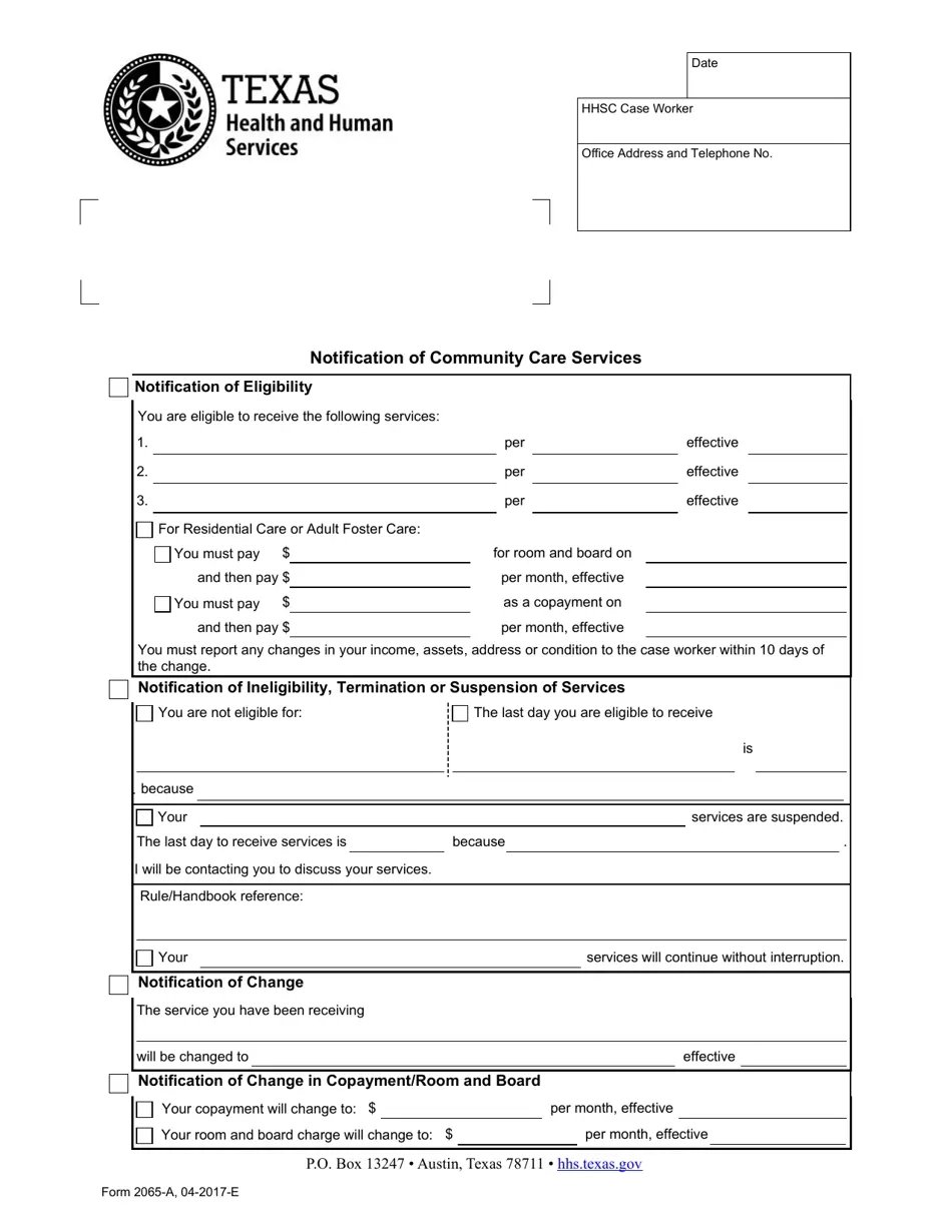 Form 2065 A Fill Out Sign Online And Download Fillable PDF 