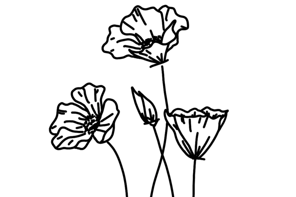 Free Poppy Pattern For Wood Burning Wood Burn Corner