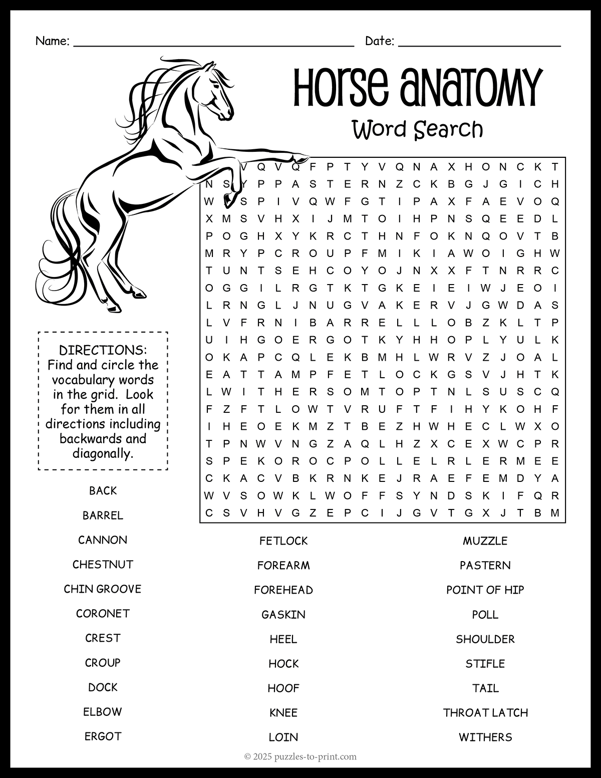 Free Printable Horse Anatomy Word Search