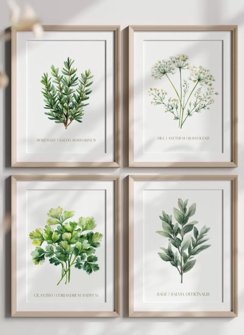 Free Printable Plant Wall Art Decorate Your Home With These 