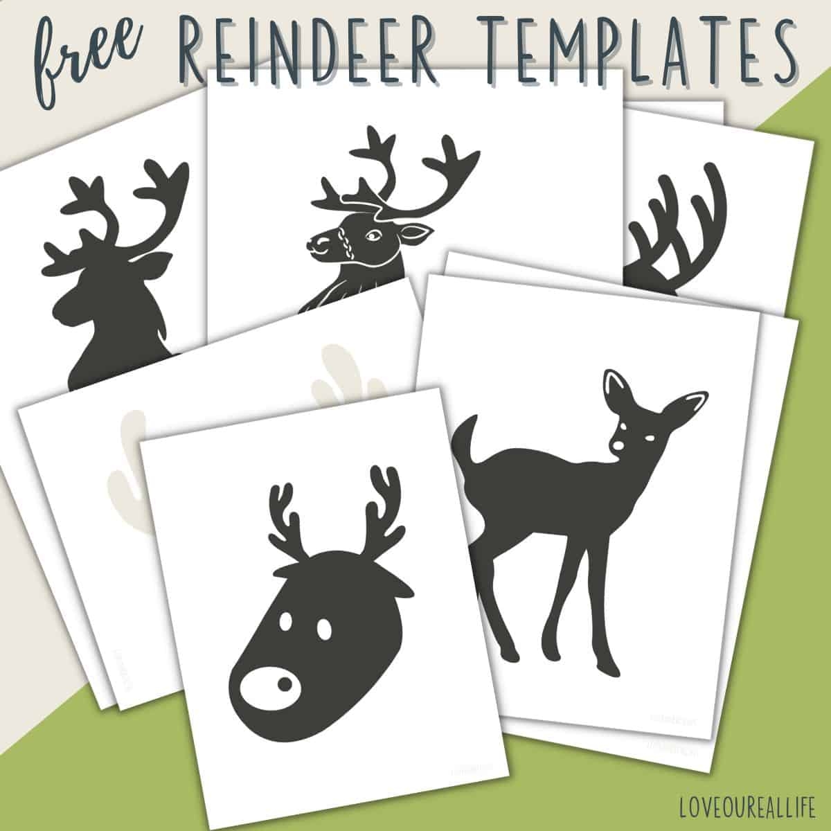 FREE Printable Reindeer Template Paper Craft For Kids Love 