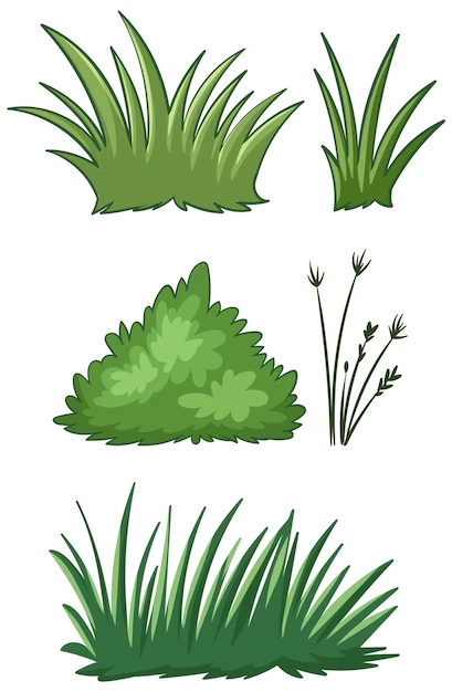 Grass Drawing Images Free Download On Freepik
