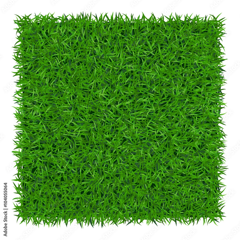 Green Grass Background Lawn Nature Abstract Field Texture 