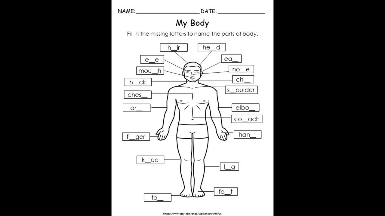 Printable Body Regions Labeling Worksheet