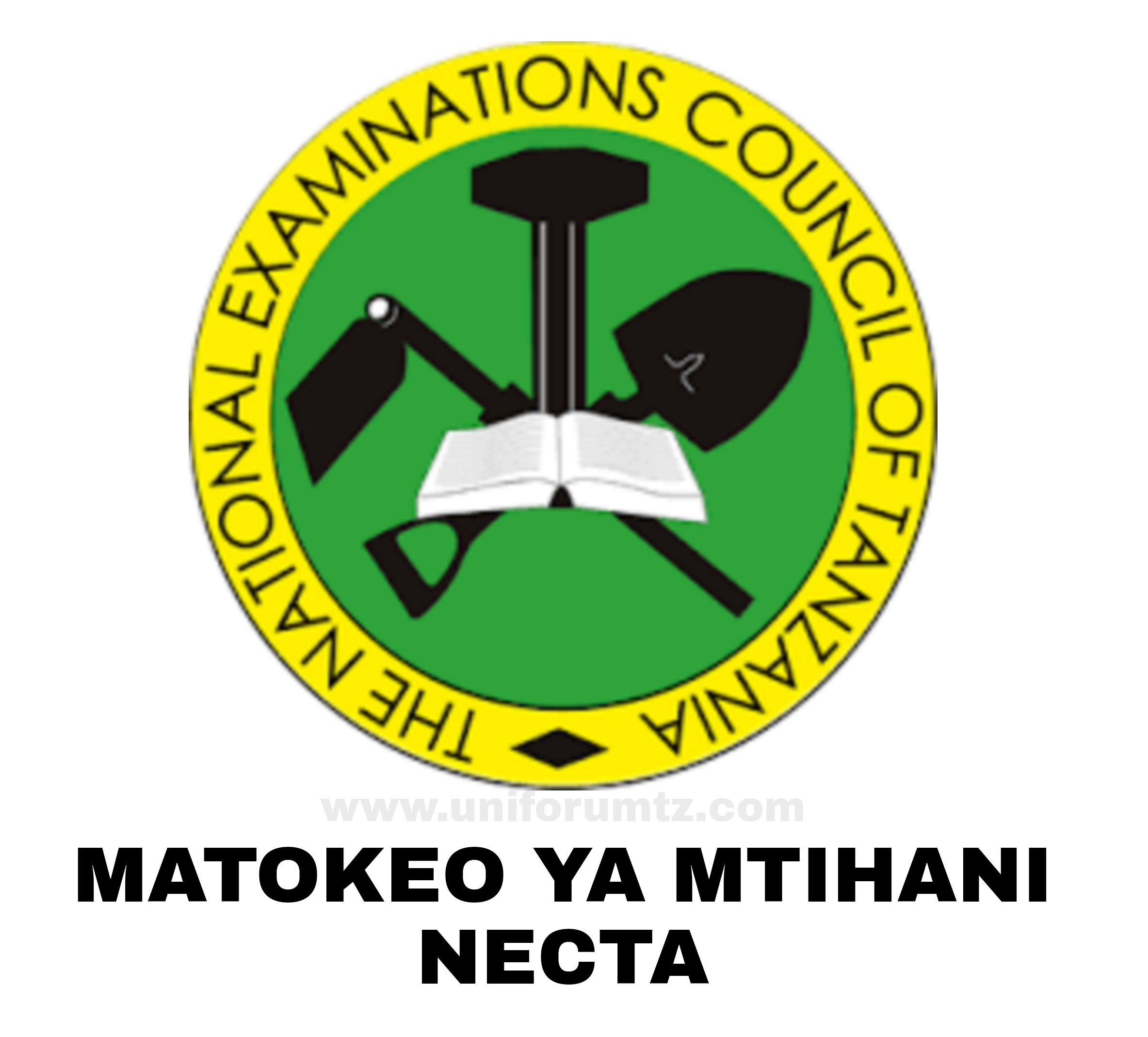 Matokeo Kidato Cha Pili 2024 2025 NECTA Results AJIRA YAKO