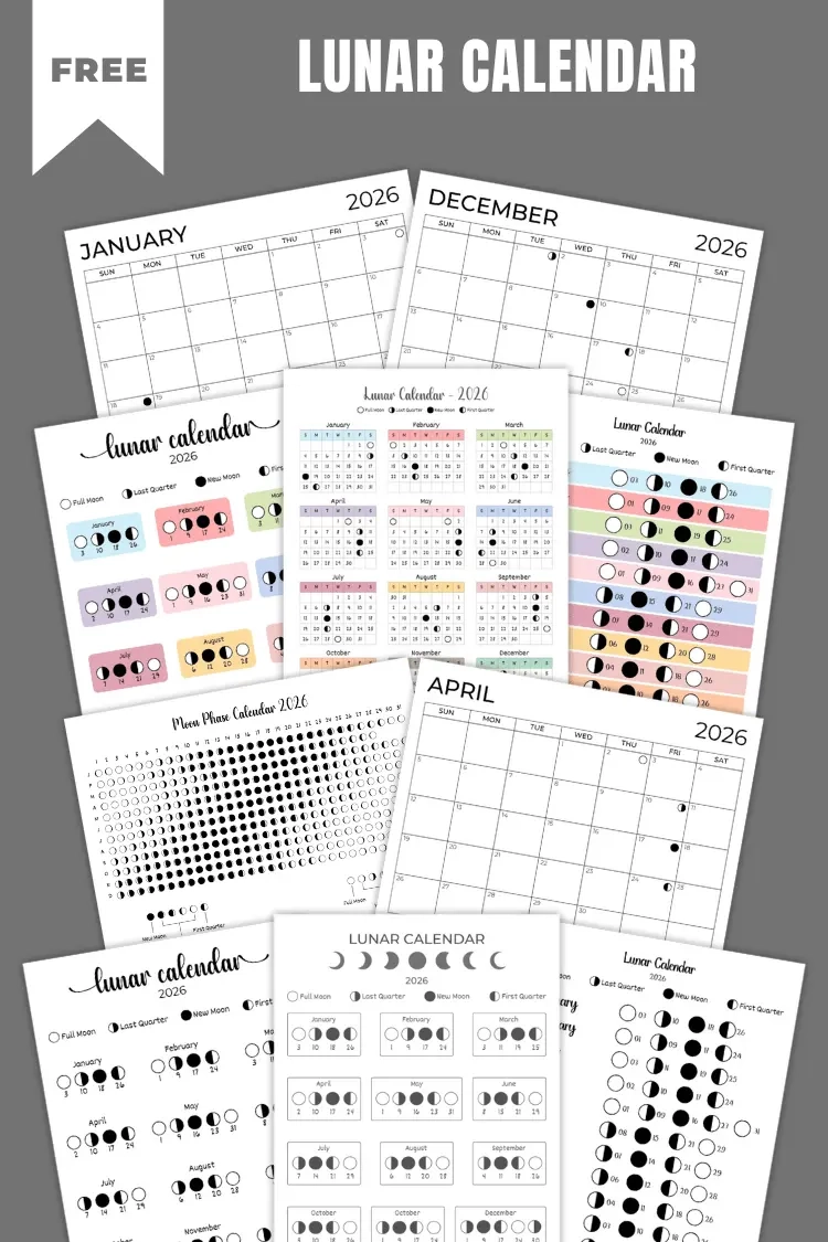 November 2026 Printable Moon Phase Calendar