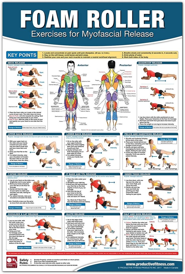 Myofascial Release Chart Poster Foam Rolling Chart Muscle 
