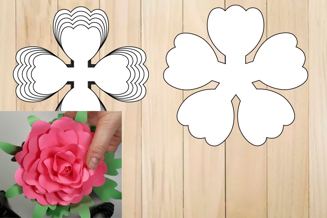 Paper Flower Template Bundle Rose Templates SVG By 