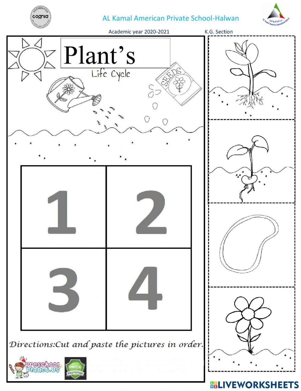 Plant s Life Cy Free Interactive Worksheets 748146