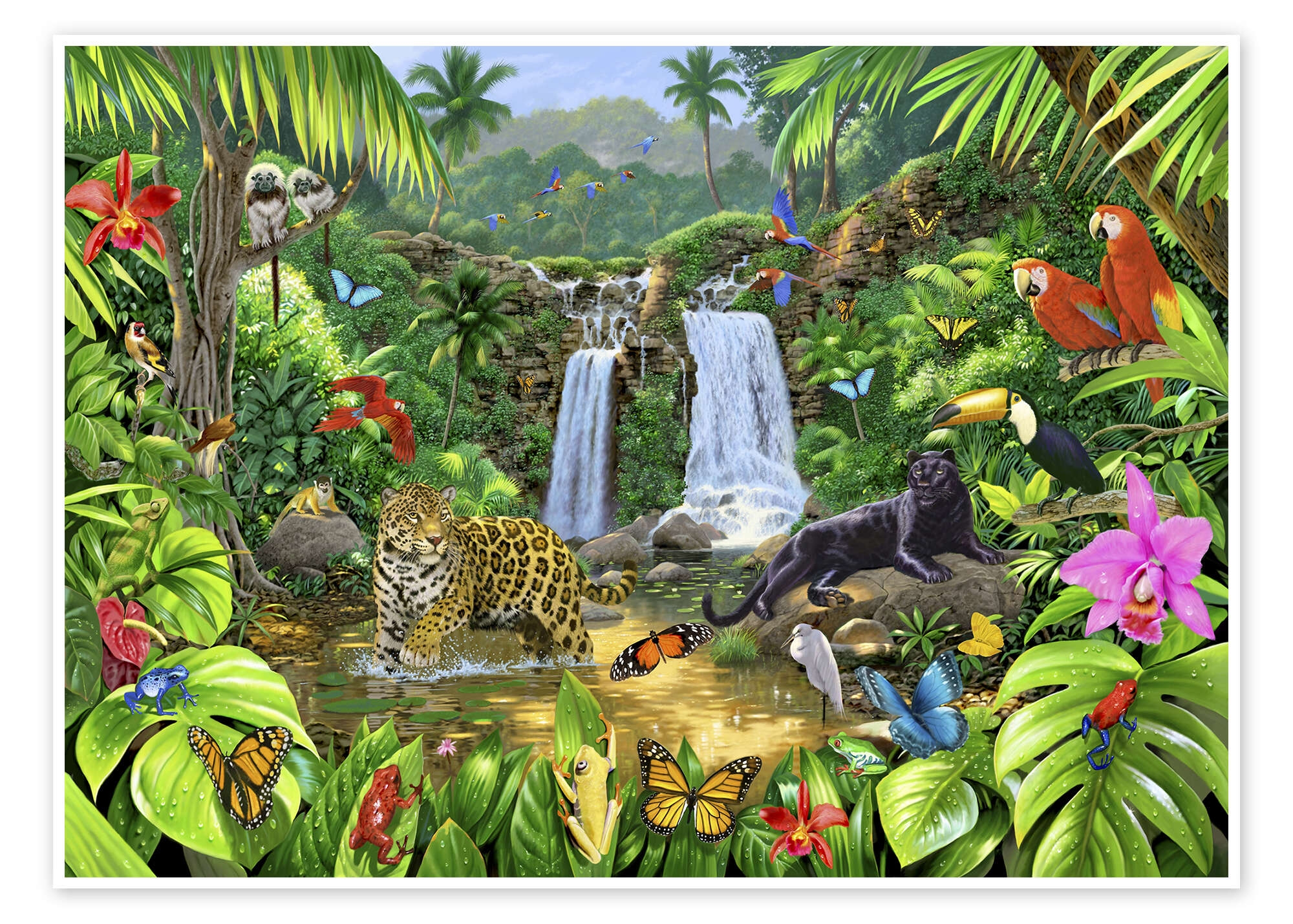 Rainforest Harmony Print By Chris Hiett Posterlounge