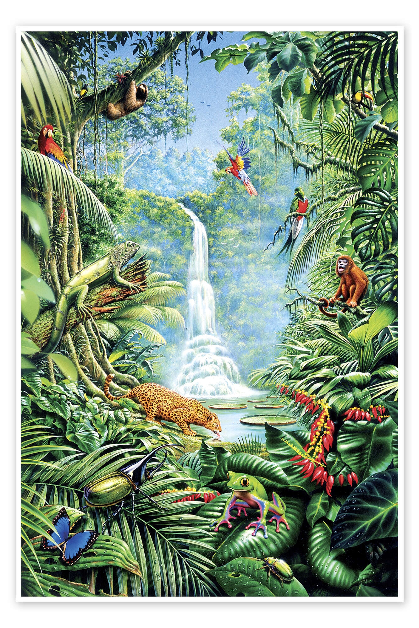 Save The Rainforest Print By Gareth Williams Posterlounge