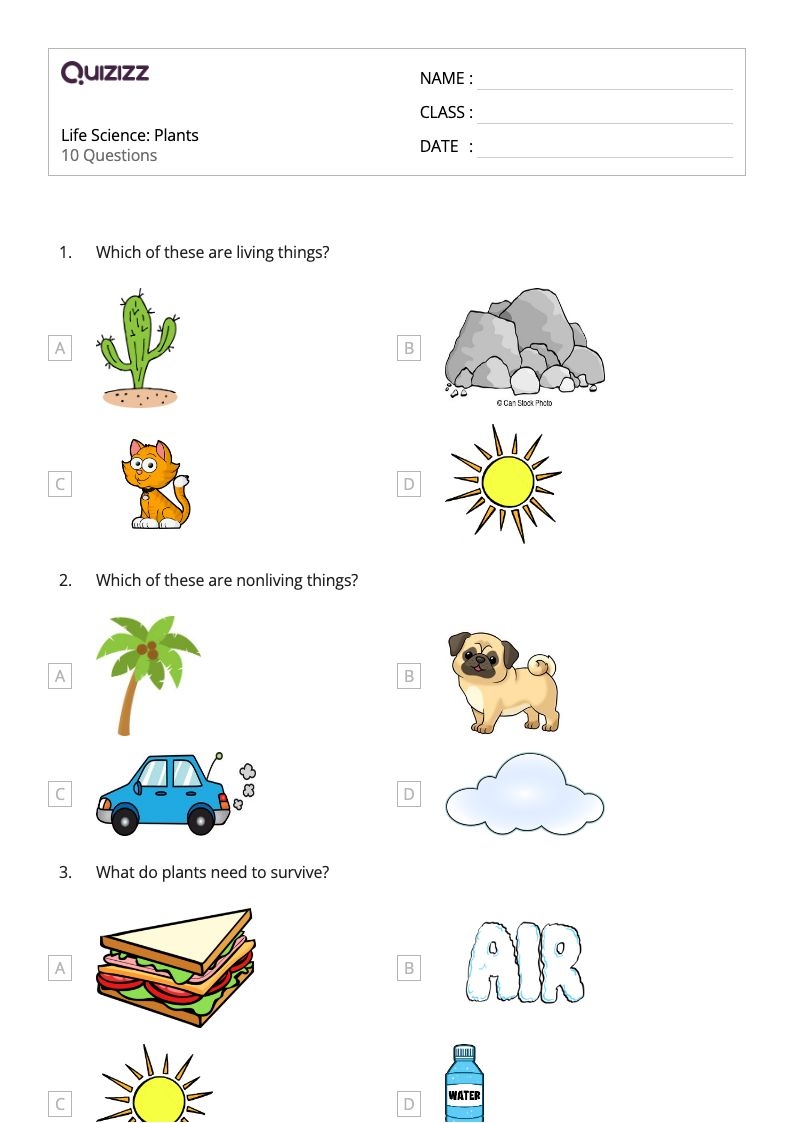 Science Worksheets Word Lists And Activities GreatSchools 