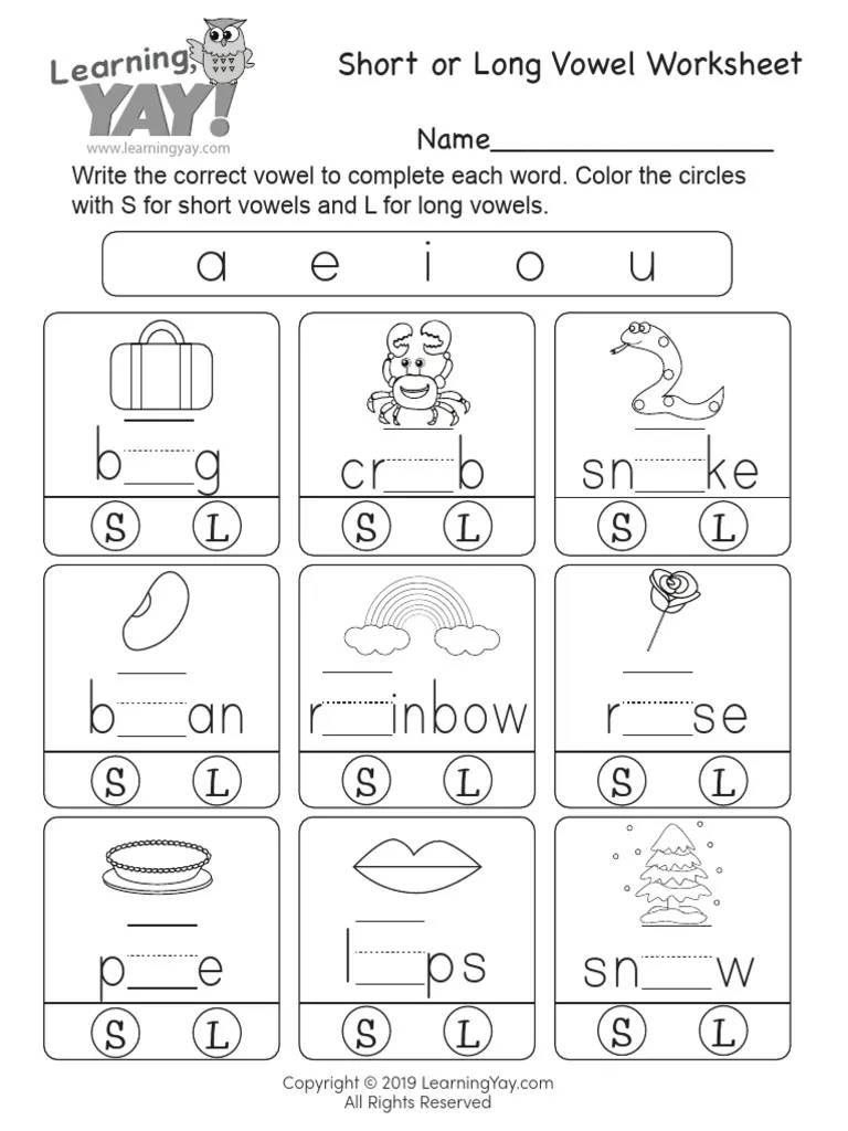 Short Or Long Vowel Worksheet PDF