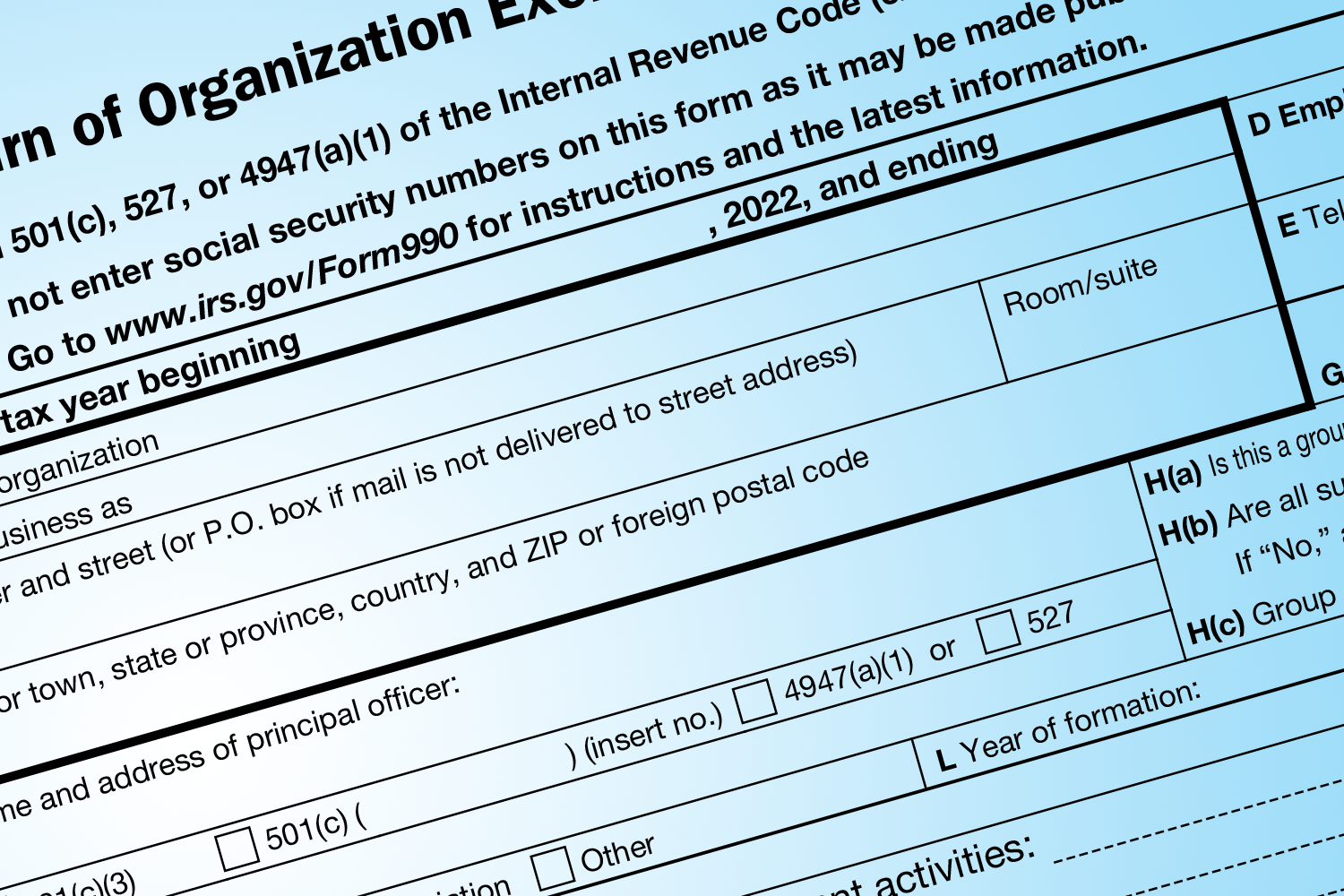 Irs Form 990n Non Profit
