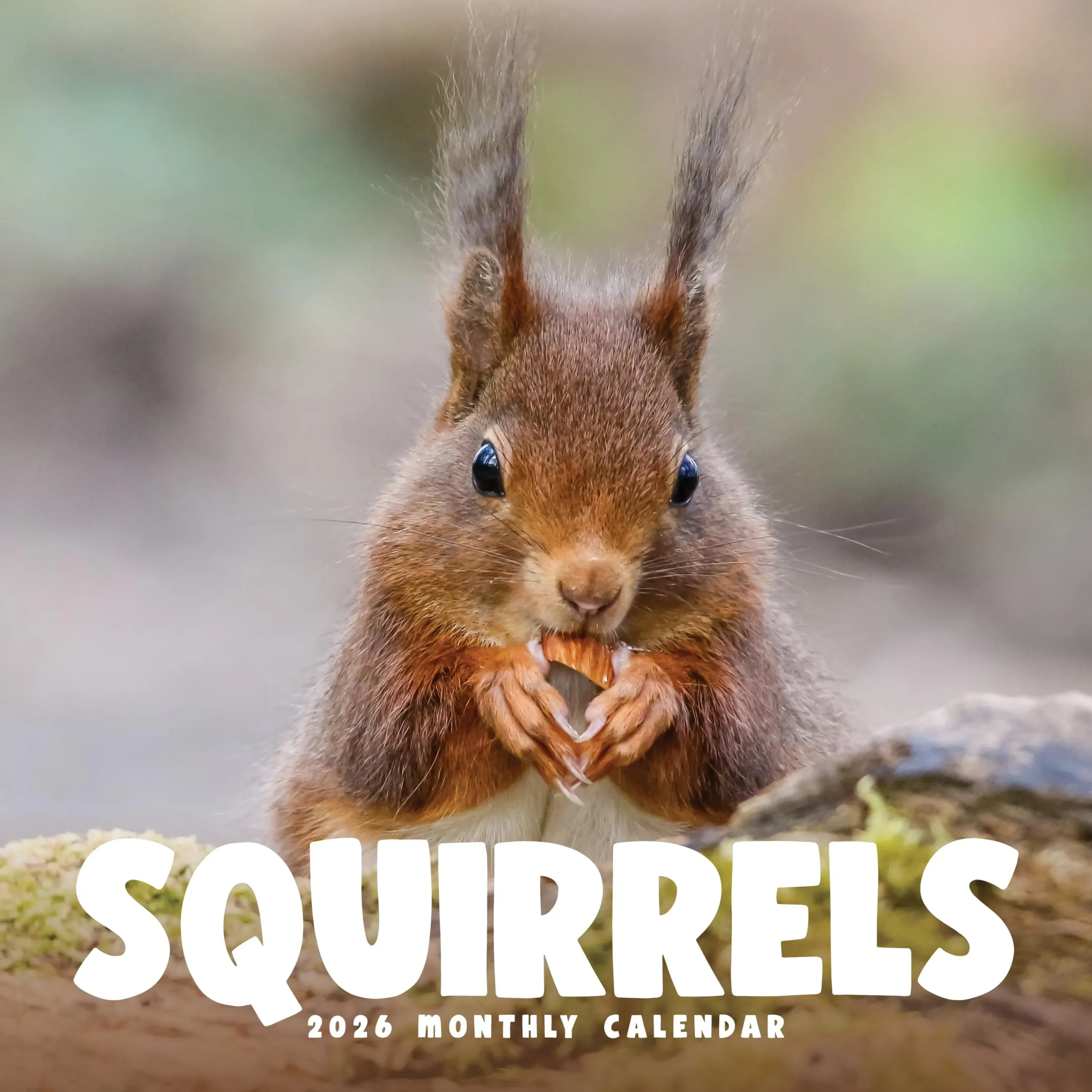 November Calendar 2026 Printable Squirrel