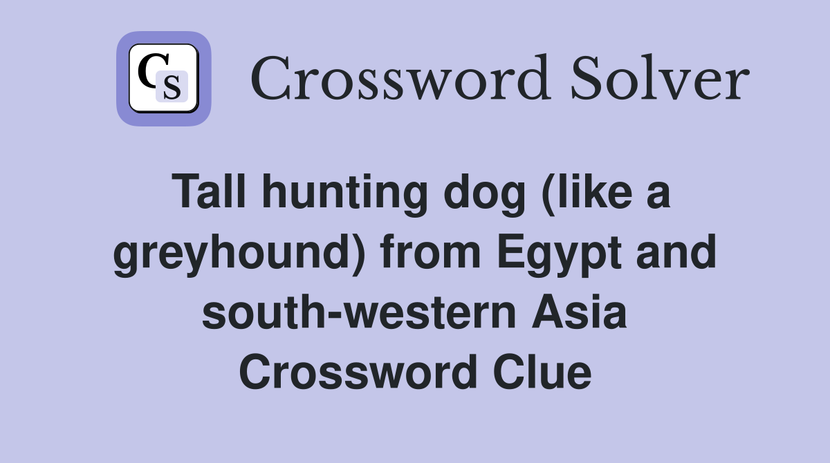 Tall Hunting Dog like A Greyhound From Egypt And South western 