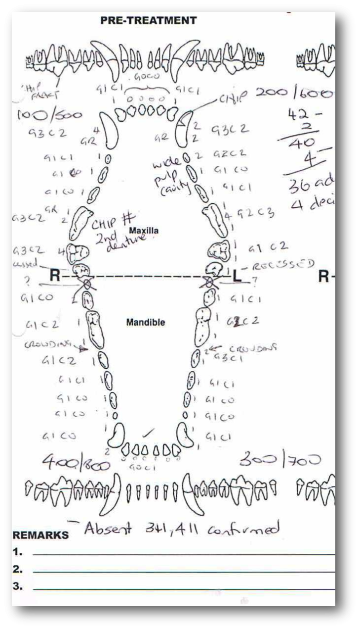 Veterinary Dental Charting For Dummies Vetanswers