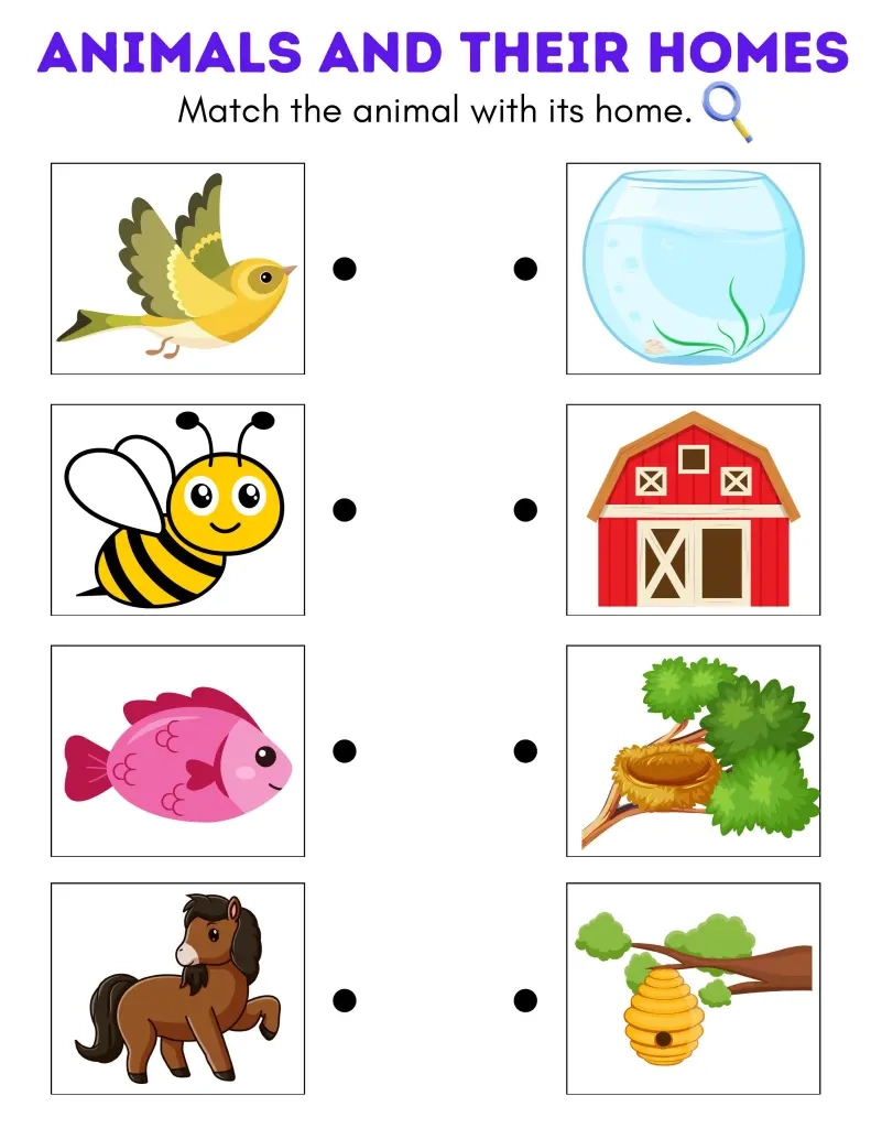22 Kindergarten Science Worksheets Printable Pack In The Playroom