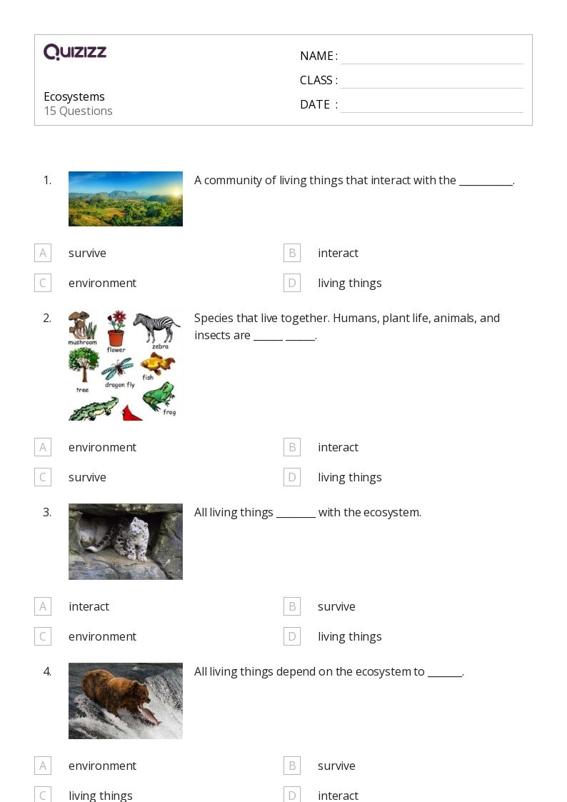 50 Ecosystems Worksheets For Kindergarten On Quizizz Free 