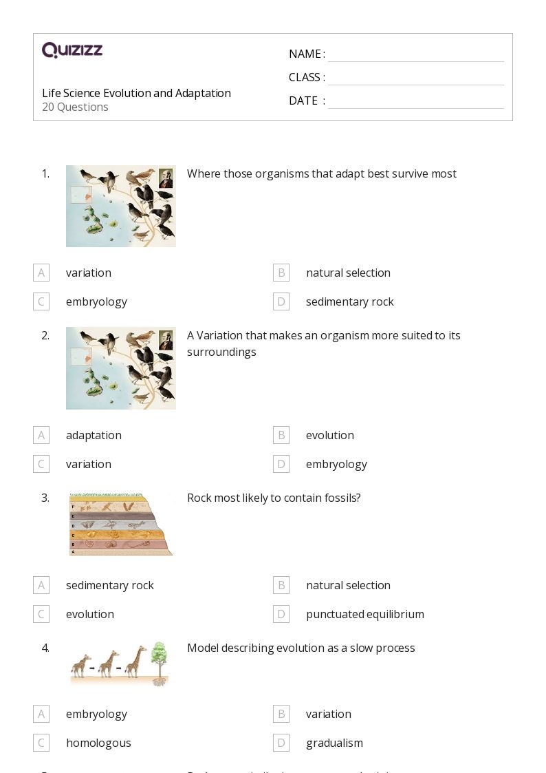 Printable Science Worksheets Grade 7