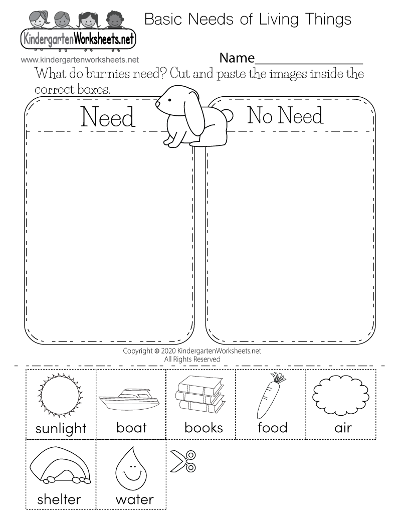 Basic Needs Of Living Things Worksheet Free Printable Digital 