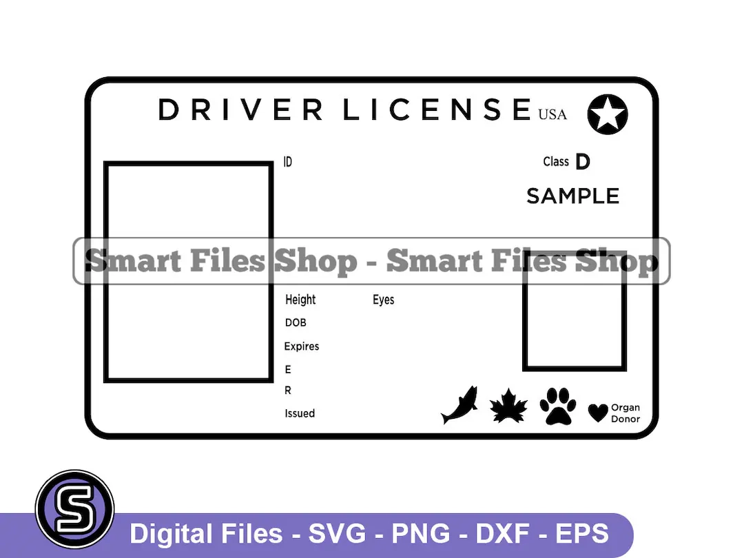 Blank Drivers Licence Template 2 Svg Drivers Licence Svg ID Svg 