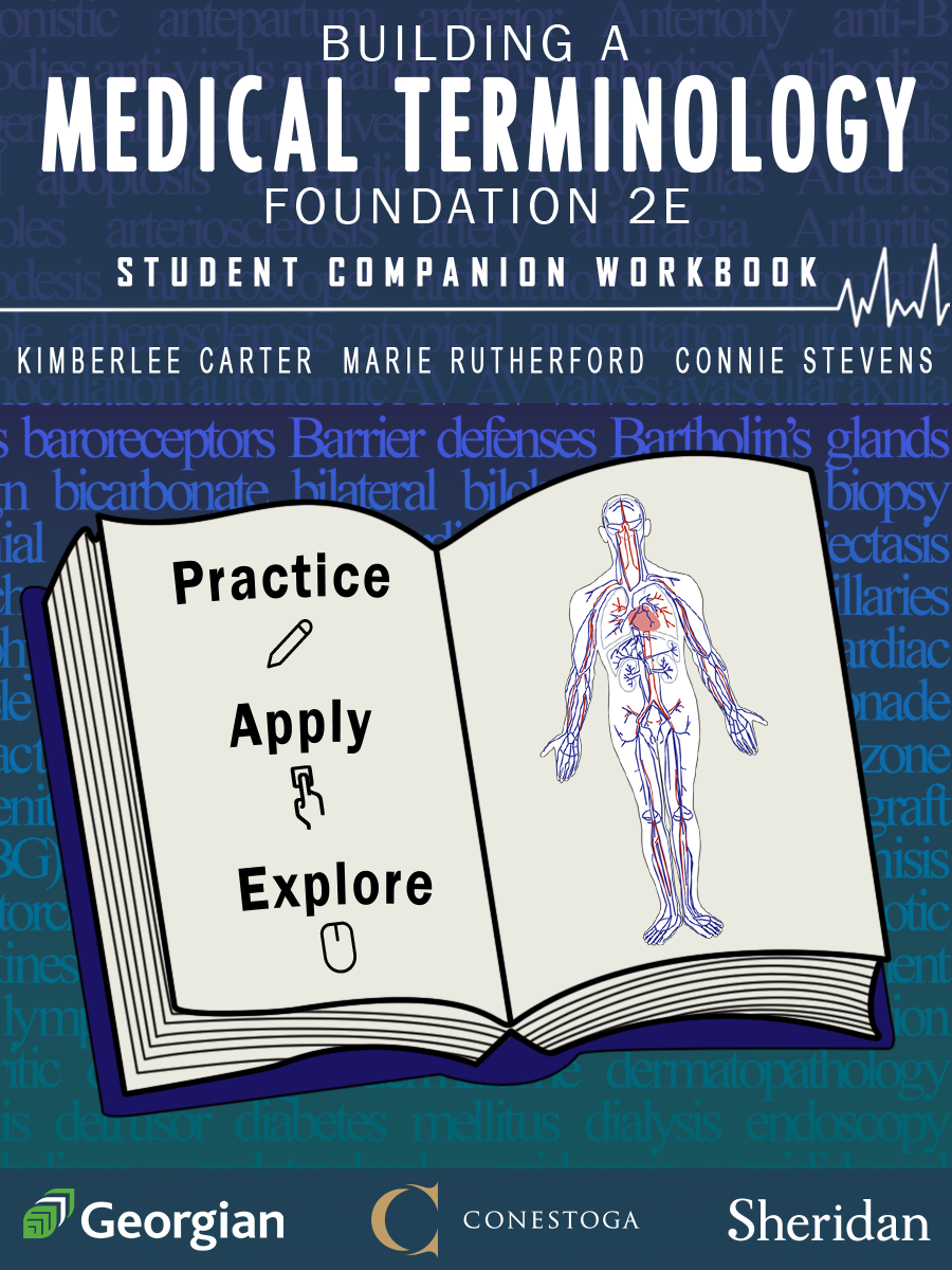 Building A Medical Terminology 2e Student Companion Workbook 
