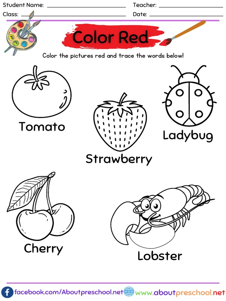 Color Tracing Worksheets For Kids PDF