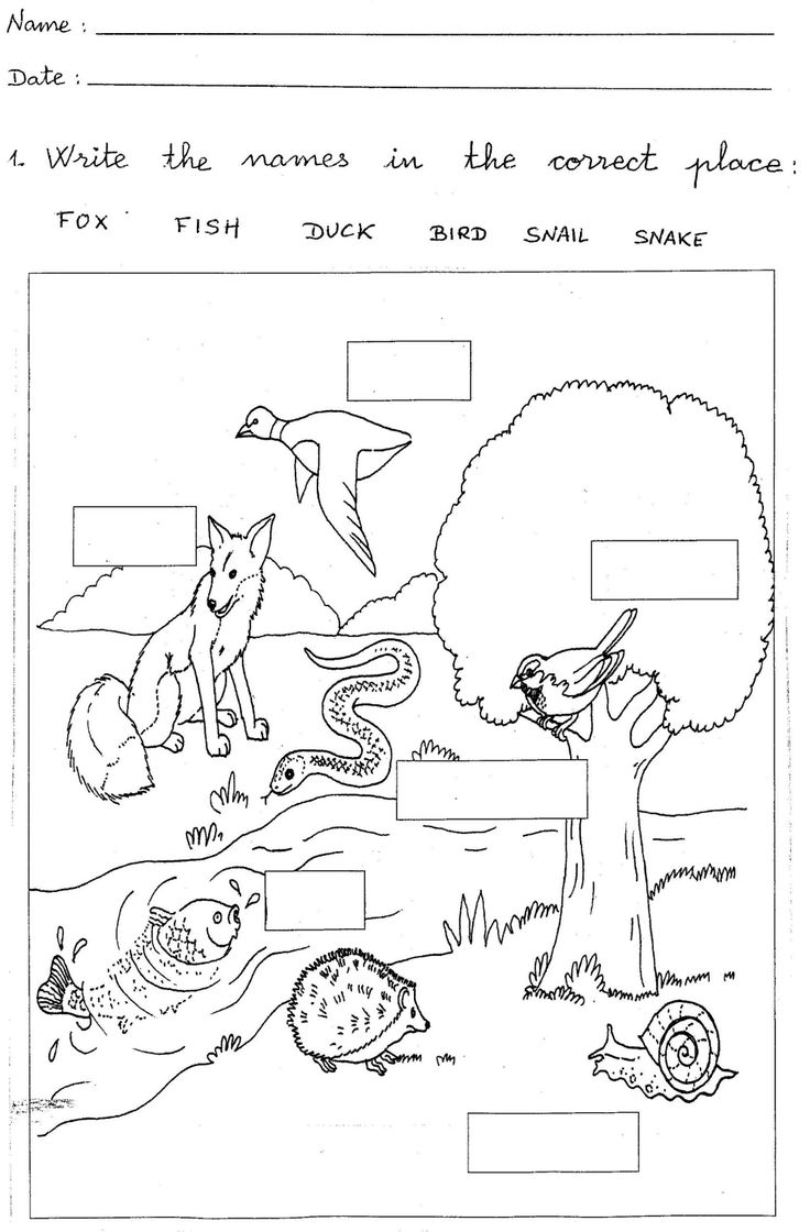 Course Environmental Science Class 1 Topic My Body Worksheets 