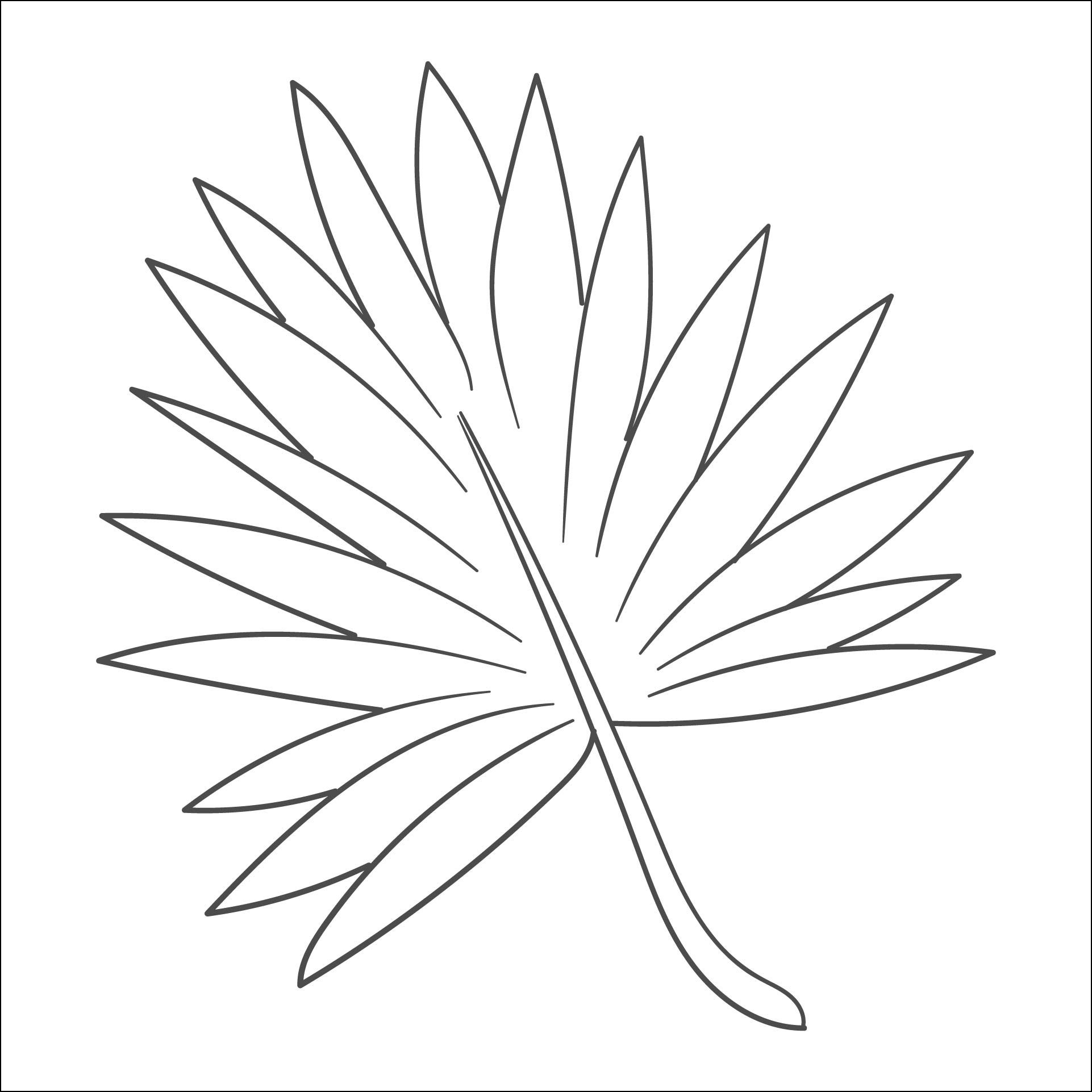 Cpalm gif 718 957 