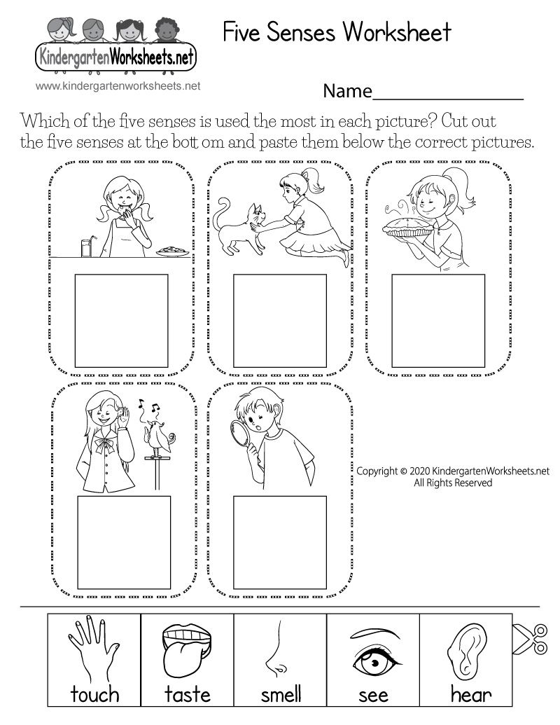 Kindergarten Worksheets Printable Science