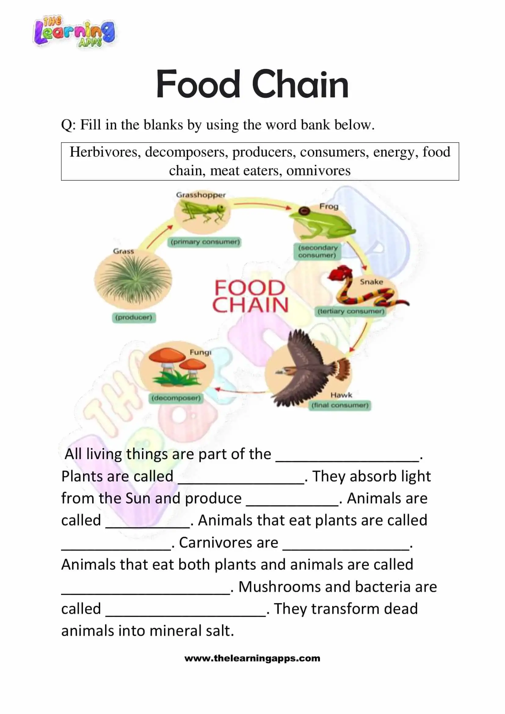 Download Free Printable Food Chain Worksheets For Grade 3
