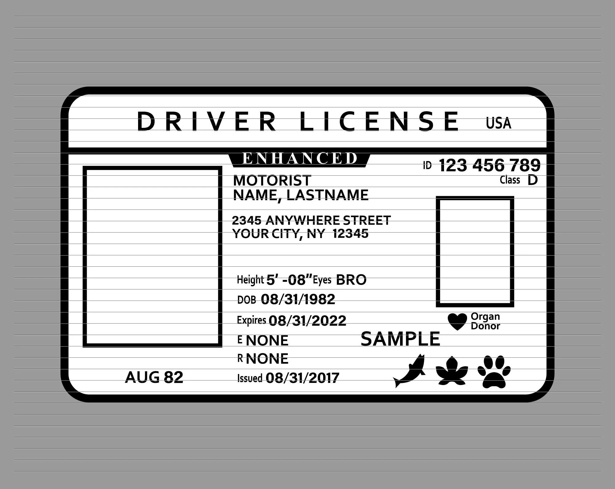 Driver Licence Svg Driver License Id Svg Id Card 