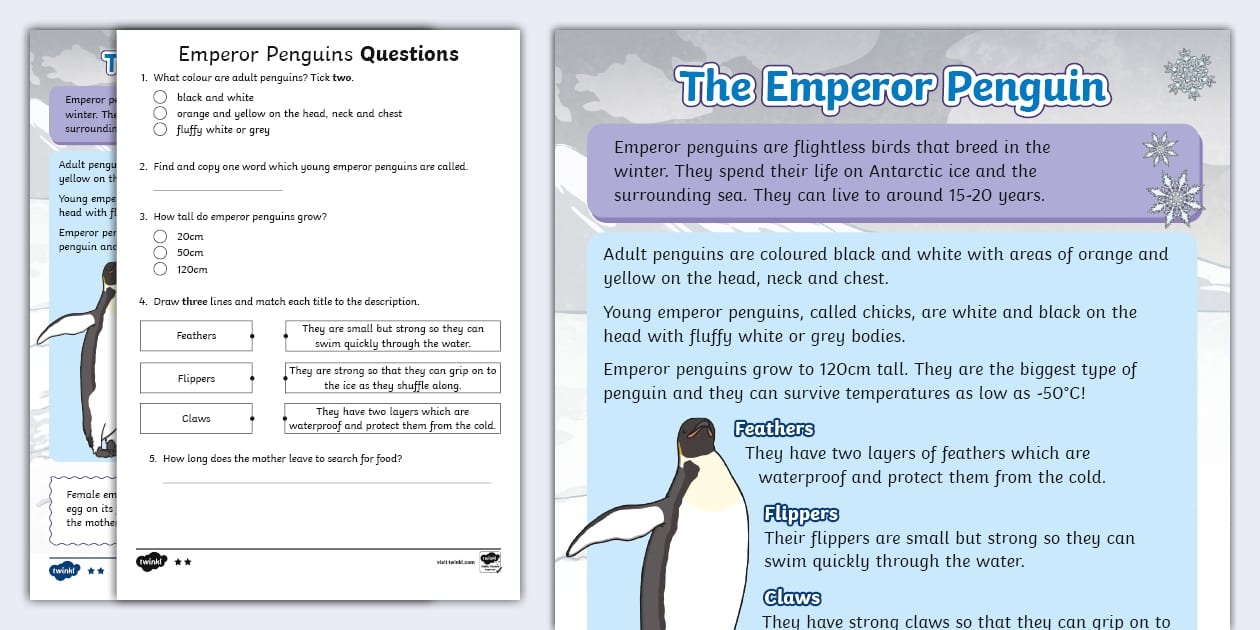 Free Printable Comprehension Worksheets Ks1