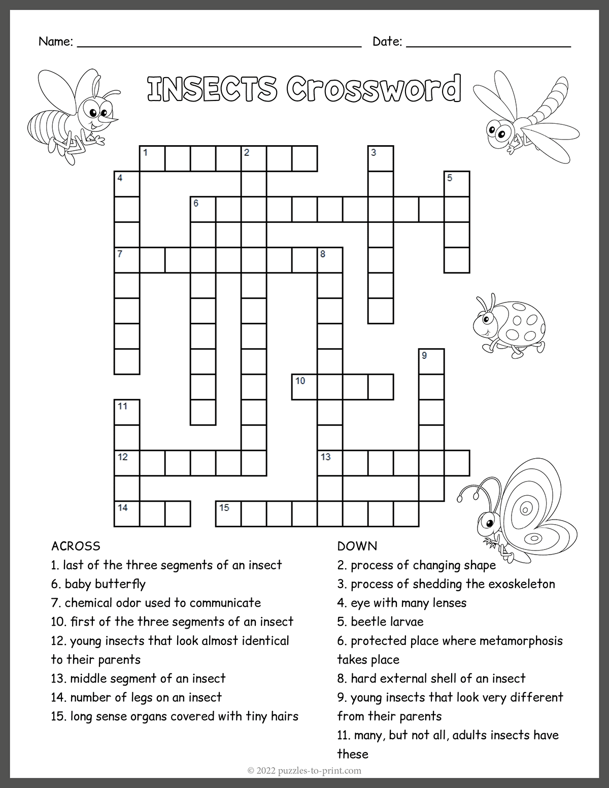 Free Printable Insects Crossword