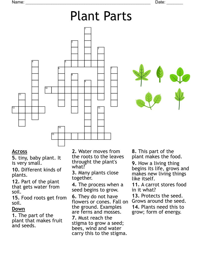 Garden Nature Crossword WordMint